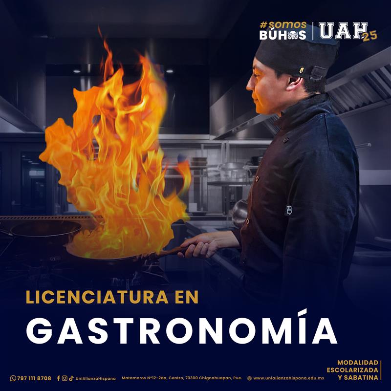 gastronomia